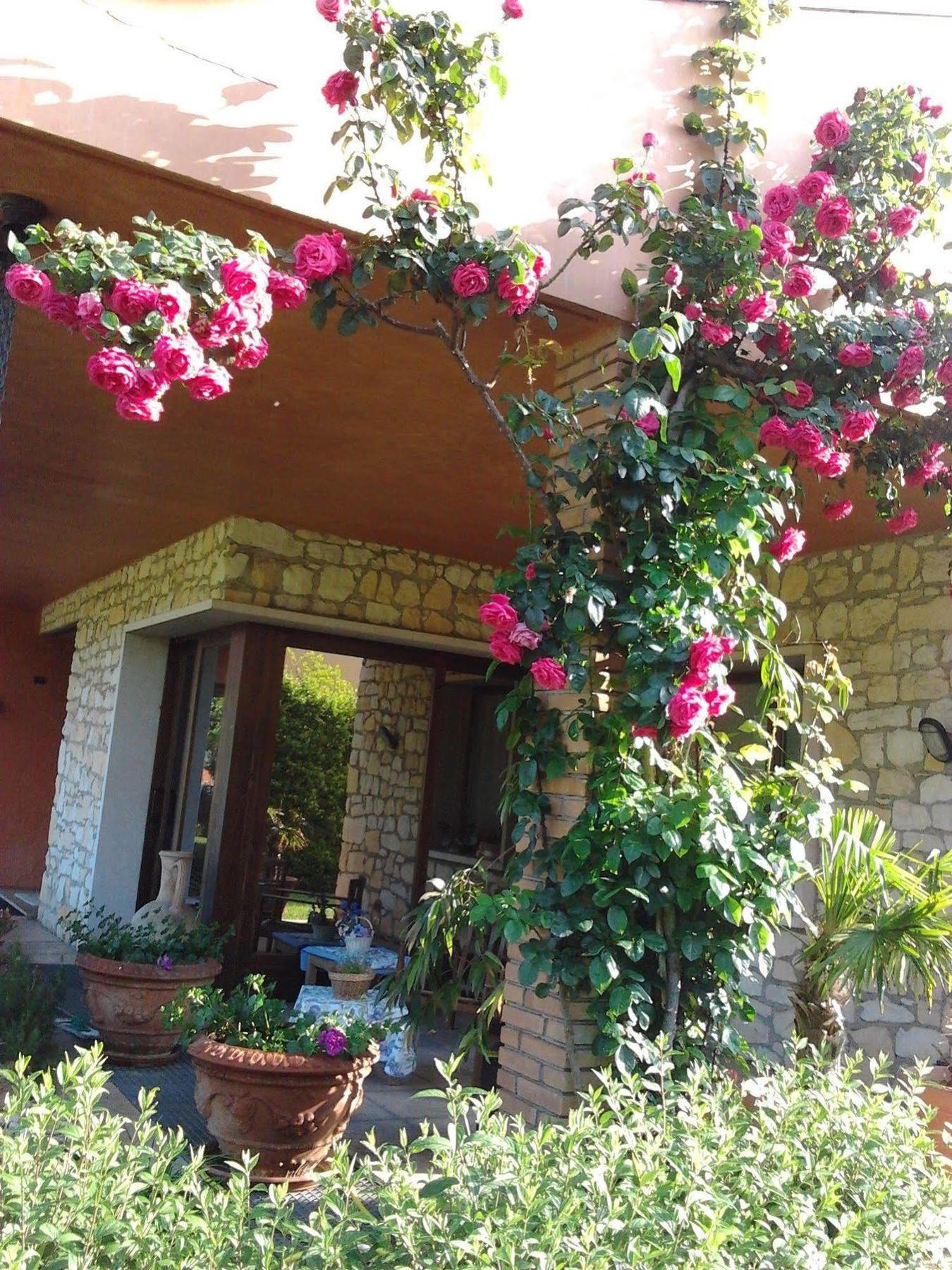 La Dolce Vita Montecchia di Crosara Exteriör bild